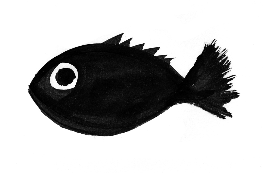 Fish61