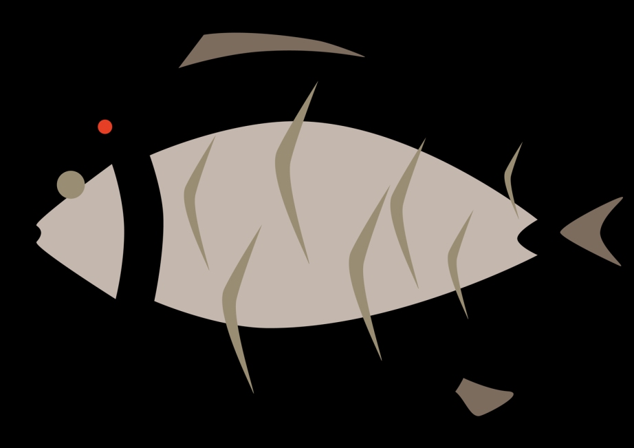 Fish 65