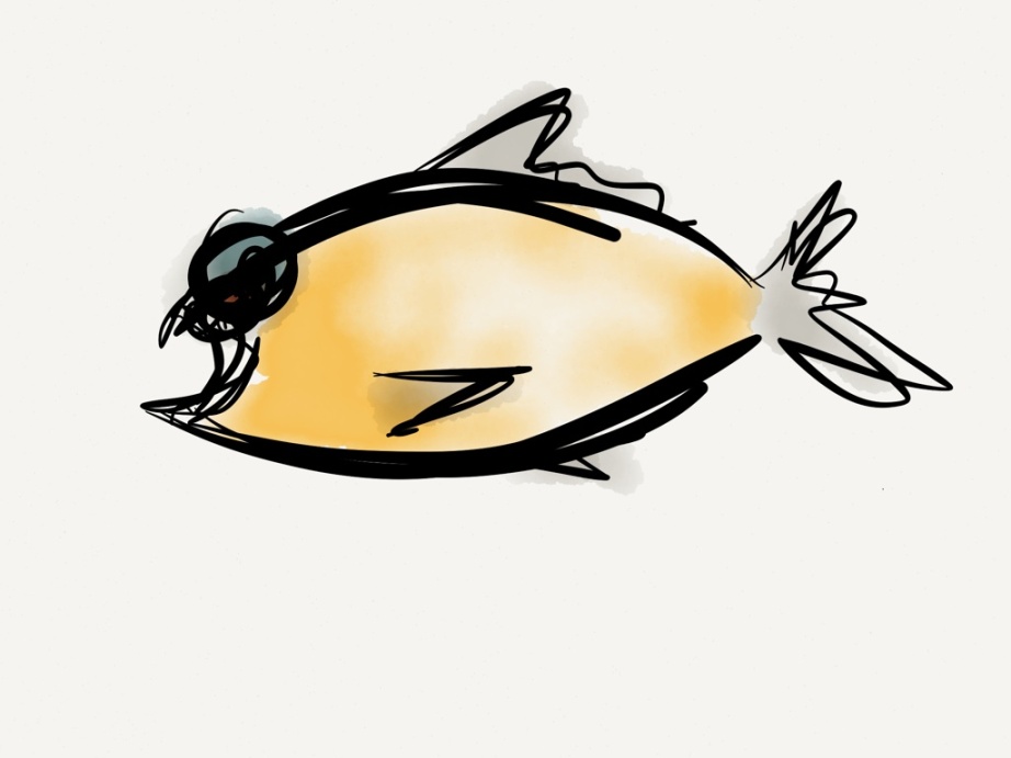 A fish on Friday n°155